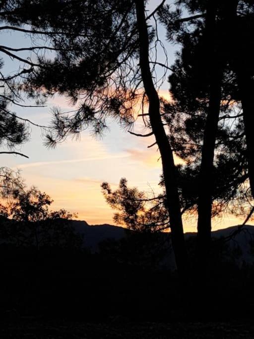 Le Chausse A Bres Chambre D'Hotes 2 Payzac  Dış mekan fotoğraf