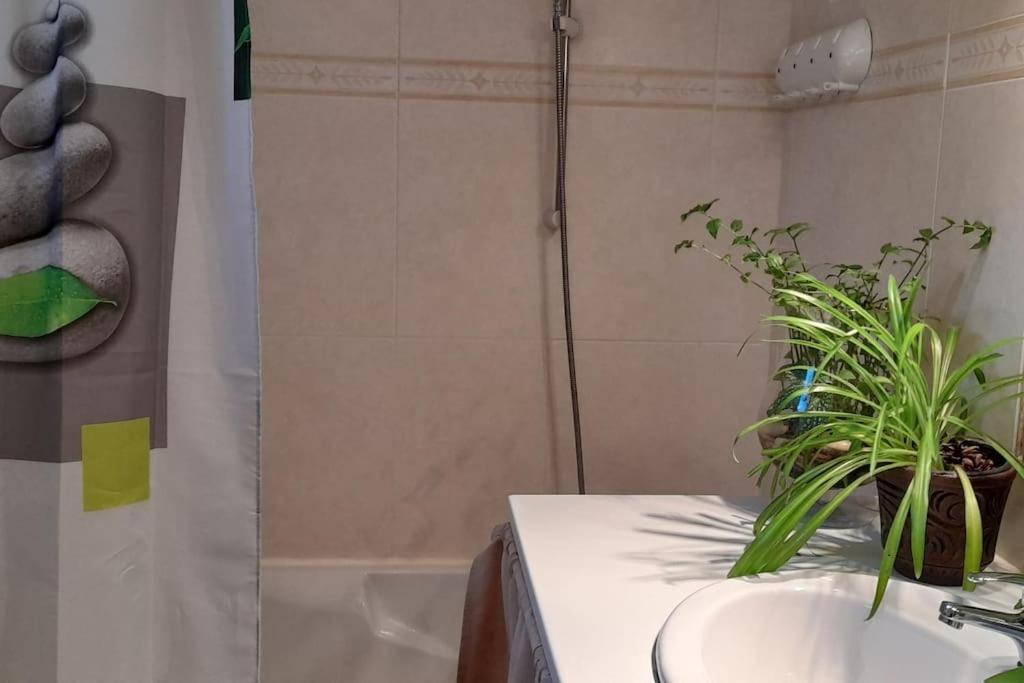 Le Chausse A Bres Chambre D'Hotes 2 Payzac  Dış mekan fotoğraf